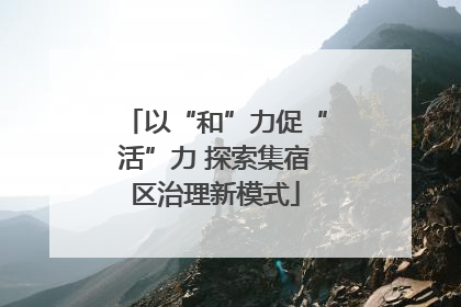 以“和”力促“活”力 探索集宿区治理新模式