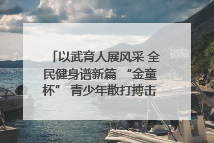 以武育人展风采 全民健身谱新篇 “金童杯” 青少年散打搏击邀请赛圆满落幕