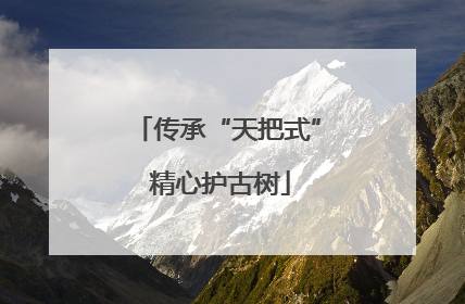 传承“天把式” 精心护古树
