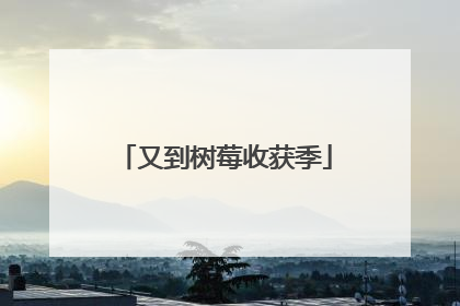 又到树莓收获季