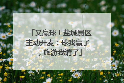 又赢球！盐城景区主动开麦：球我赢了，旅游我请了