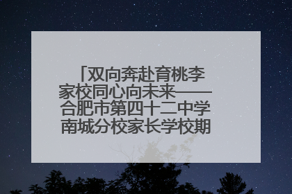 双向奔赴育桃李 家校同心向未来——合肥市第四十二中学南城分校家长学校期末总结会圆满召开