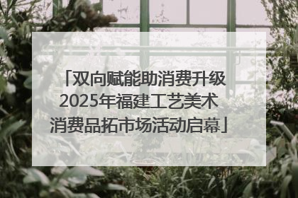 双向赋能助消费升级 2025年福建工艺美术消费品拓市场活动启幕