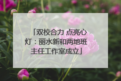 双校合力 点亮心灯：丽水新和两地班主任工作室成立