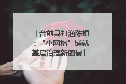 台前县打渔陈镇：“小网格”铺就基层治理新图景