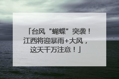 台风“蝴蝶”突袭！江西将迎暴雨+大风，这天千万注意！