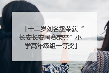 十二岁刘名丞荣获“长安长安国赛荣誉”小学高年级组一等奖