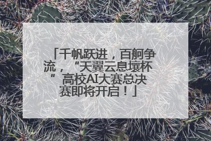 千帆跃进，百舸争流，“天翼云息壤杯”高校AI大赛总决赛即将开启！