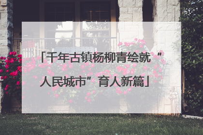 千年古镇杨柳青绘就“人民城市”育人新篇
