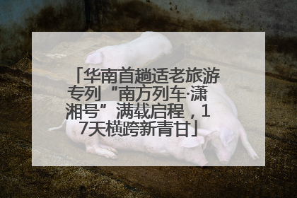 华南首趟适老旅游专列“南方列车·潇湘号”满载启程，17天横跨新青甘