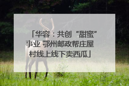 华容：共创“甜蜜”事业 鄂州邮政帮庄屋村线上线下卖西瓜