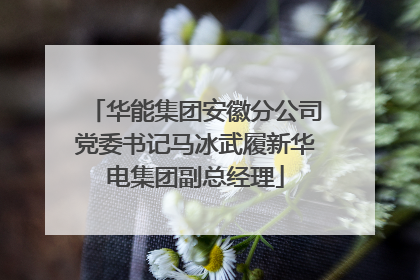 华能集团安徽分公司党委书记马冰武履新华电集团副总经理