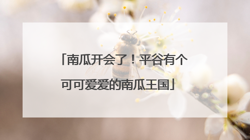 南瓜开会了！平谷有个可可爱爱的南瓜王国