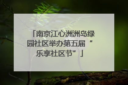 南京江心洲洲岛绿园社区举办第五届“乐享社区节”