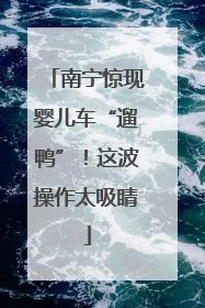 南宁惊现婴儿车“遛鸭”！这波操作太吸睛