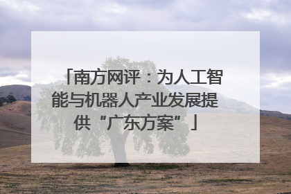 南方网评：为人工智能与机器人产业发展提供“广东方案”