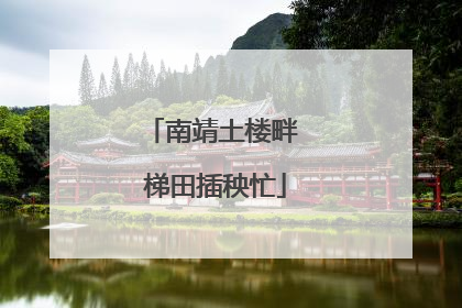 南靖土楼畔 梯田插秧忙