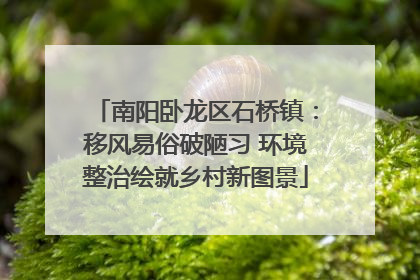 南阳卧龙区石桥镇：移风易俗破陋习 环境整治绘就乡村新图景