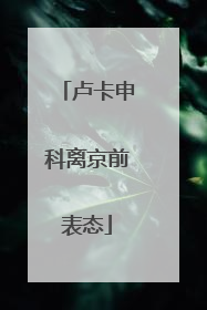 卢卡申科离京前表态