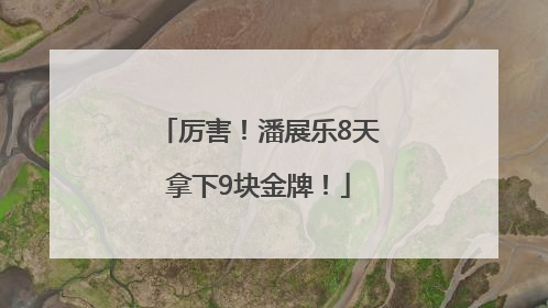 厉害！潘展乐8天拿下9块金牌！