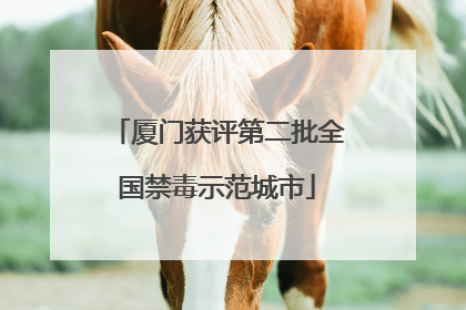 厦门获评第二批全国禁毒示范城市
