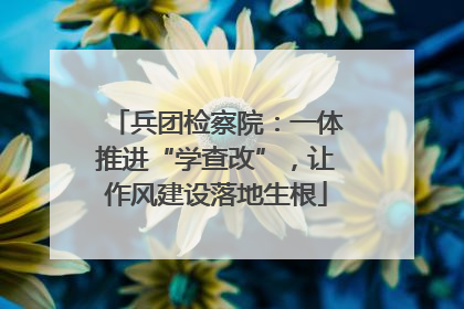 兵团检察院：一体推进“学查改”，让作风建设落地生根