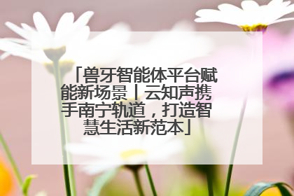 兽牙智能体平台赋能新场景丨云知声携手南宁轨道，打造智慧生活新范本