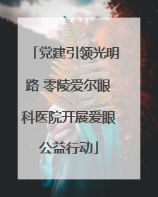 党建引领光明路 零陵爱尔眼科医院开展爱眼公益行动