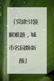 党建引领解难题，城市名园焕新颜