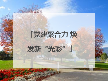 党建聚合力 焕发新“光彩”