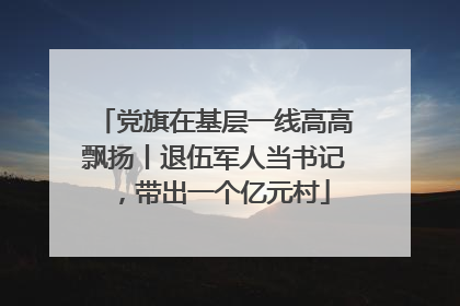 党旗在基层一线高高飘扬丨退伍军人当书记，带出一个亿元村