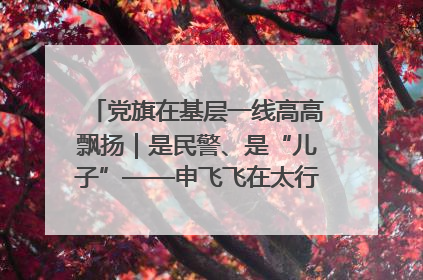 党旗在基层一线高高飘扬｜是民警、是“儿子”——申飞飞在太行山中的一线坚守