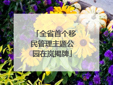 全省首个移民管理主题公园在岚揭牌