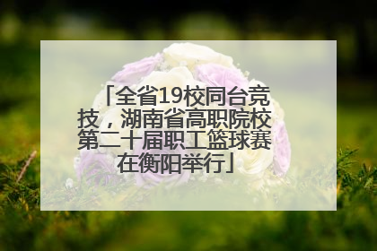 全省19校同台竞技，湖南省高职院校第二十届职工篮球赛在衡阳举行