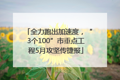 全力跑出加速度，“3个100”市重点工程5月攻坚传捷报