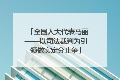 全国人大代表马丽——以司法裁判为引领做实定分止争