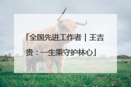 全国先进工作者｜王吉贵：一生秉守护林心
