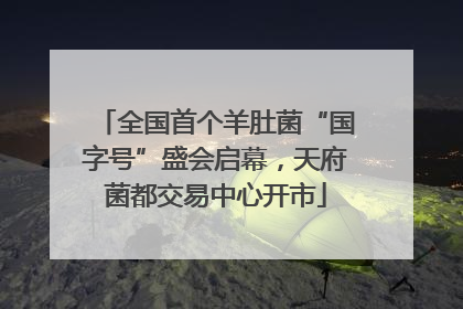 全国首个羊肚菌“国字号”盛会启幕，天府菌都交易中心开市