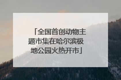 全国首创动物主题市集在哈尔滨极地公园火热开市