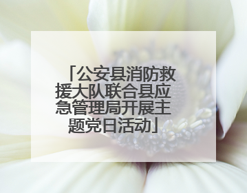 公安县消防救援大队联合县应急管理局开展主题党日活动