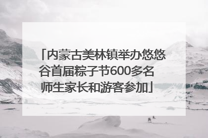 内蒙古美林镇举办悠悠谷首届粽子节600多名师生家长和游客参加