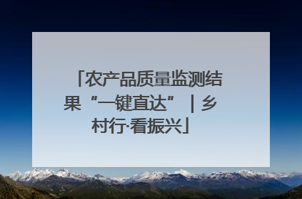 农产品质量监测结果“一键直达”｜乡村行·看振兴