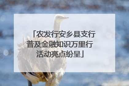 农发行安乡县支行普及金融知识万里行活动亮点纷呈