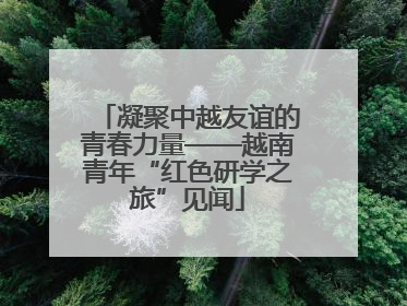 凝聚中越友谊的青春力量——越南青年“红色研学之旅”见闻