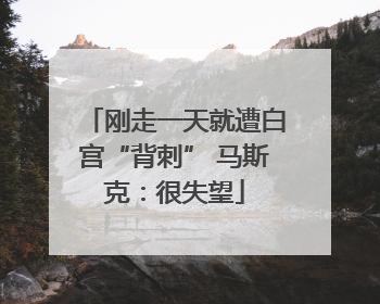 刚走一天就遭白宫“背刺” 马斯克：很失望