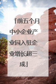 前五个月中小企业产业园入驻企业增长超三成