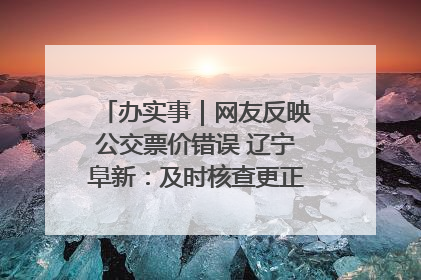 办实事｜网友反映公交票价错误 辽宁阜新：及时核查更正 加强实时巡检