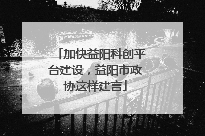 加快益阳科创平台建设，益阳市政协这样建言