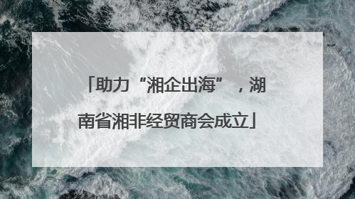 助力“湘企出海”，湖南省湘非经贸商会成立