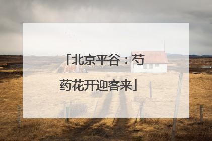 北京平谷：芍药花开迎客来